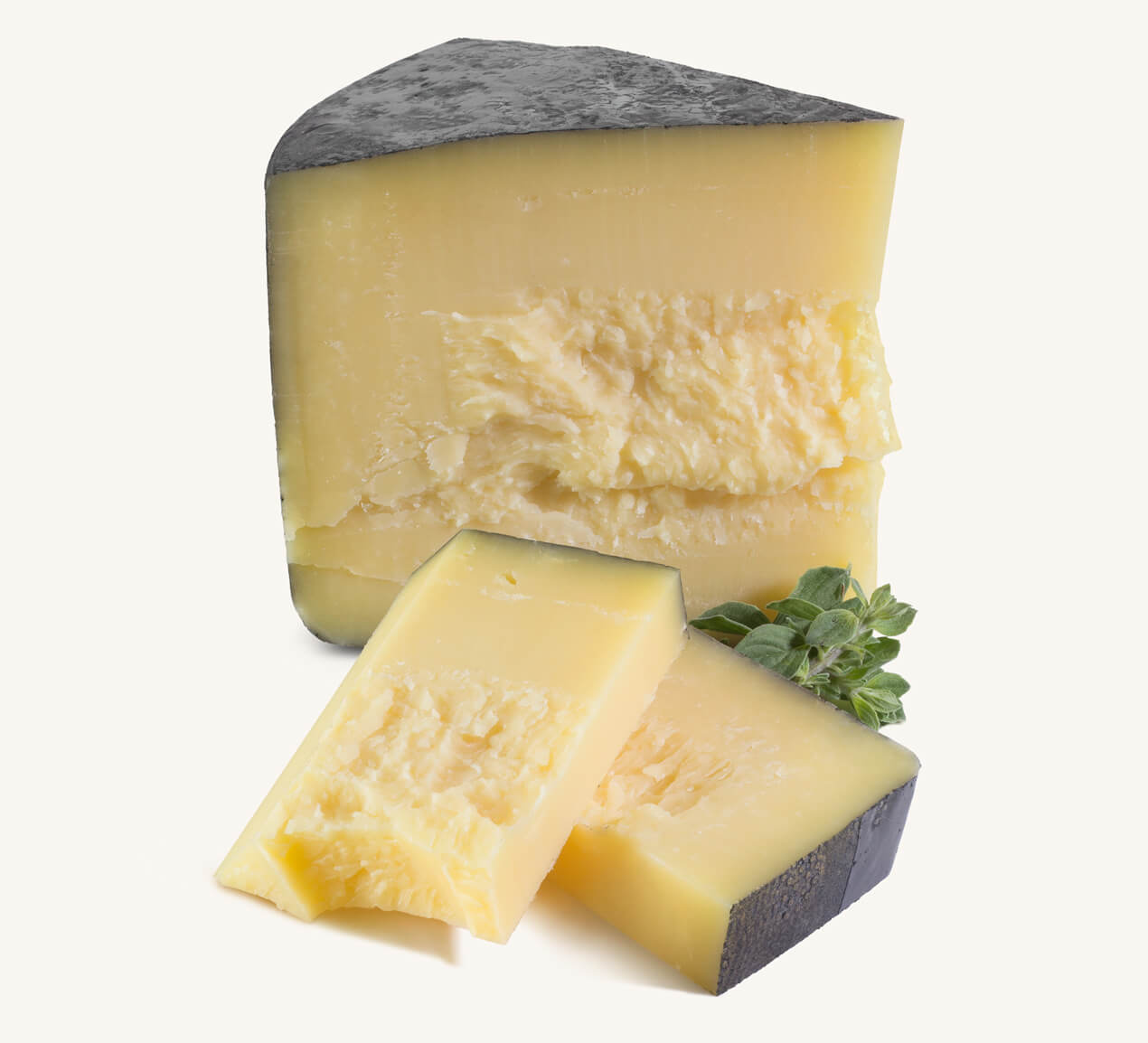 Trozo de queso reggianito y cortes rectangulares del mismo queso, acompañado de ramita de orégano fresco
