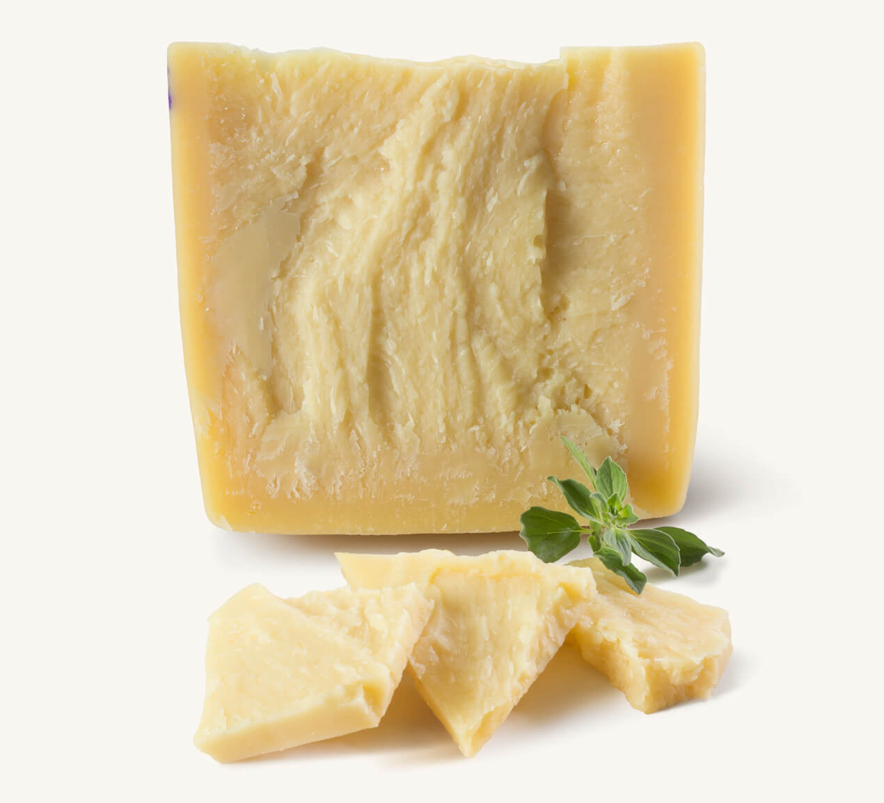 Trozo de queso sbrinz con escamas del mismo queso, acompañado de ramita de especia fresca